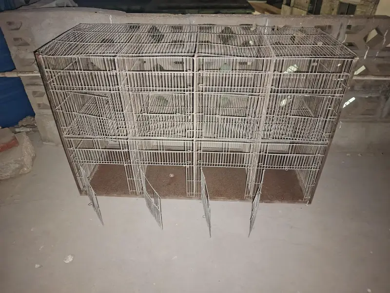 2 Cages for birds — photo 3