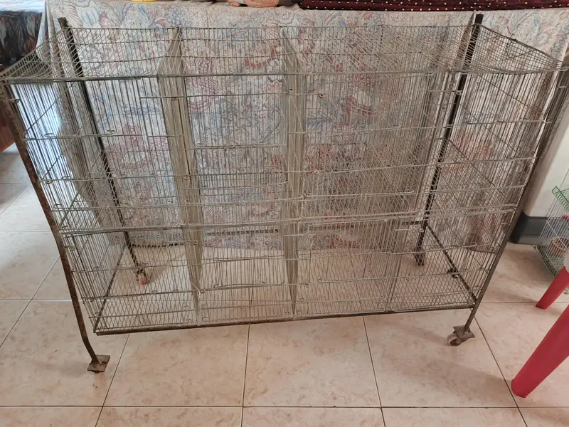 2 Cages for birds — photo 5