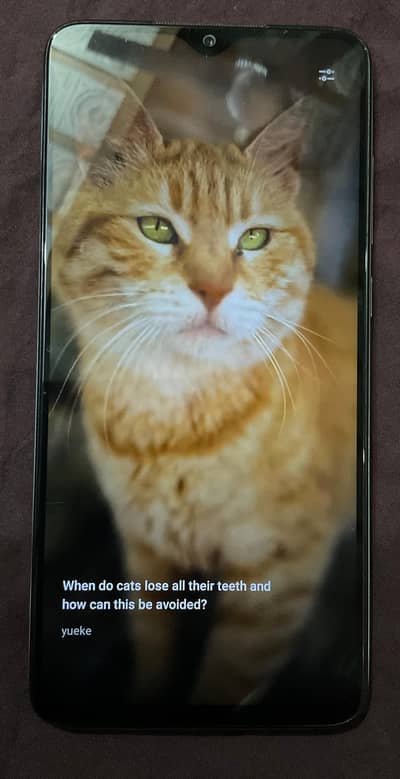 Xiaomi Redmi Note 8 Pro