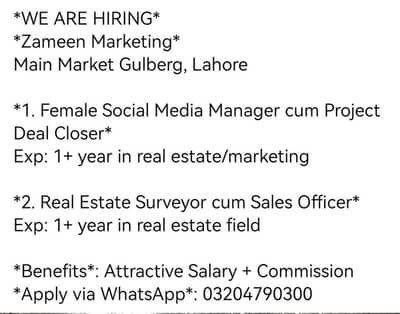 Social Media Manager
