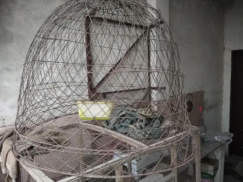 Hen cages — photo 4
