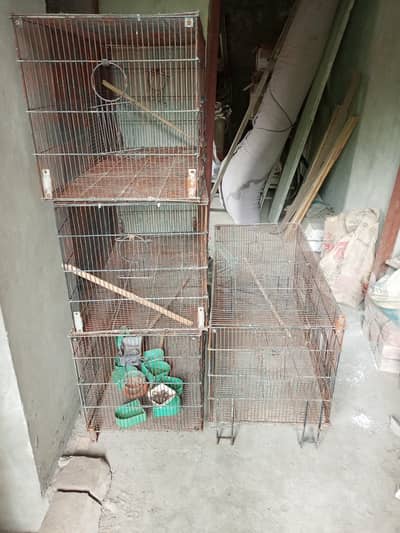 4 Steel Cage