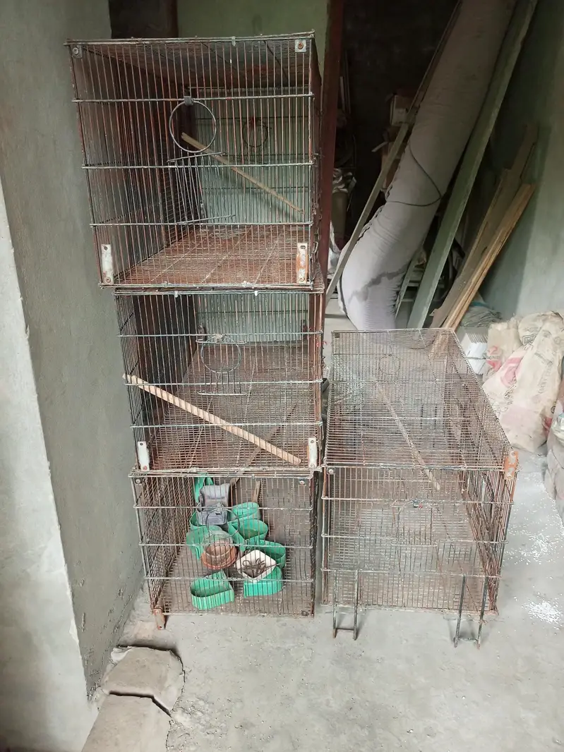 4 Steel Cage — photo 2