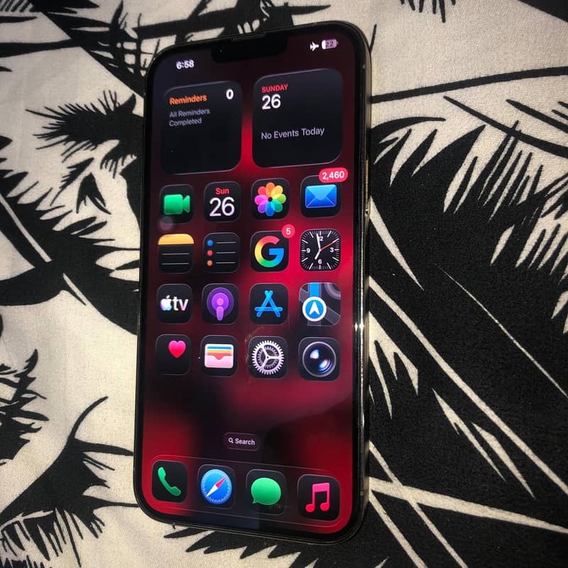 Iphone 13 pro max 1