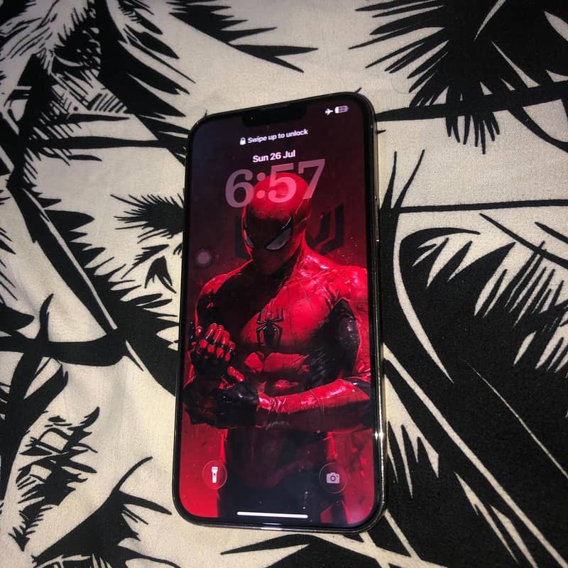 Iphone 13 pro max 2