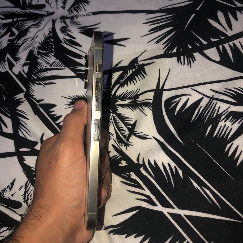 Iphone 13 pro max 3