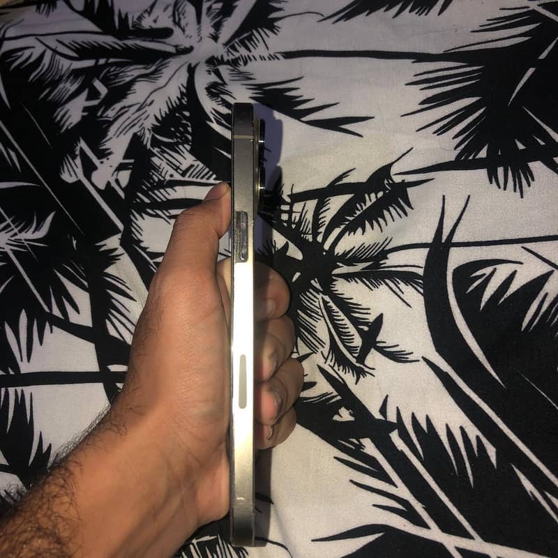 Iphone 13 pro max 4