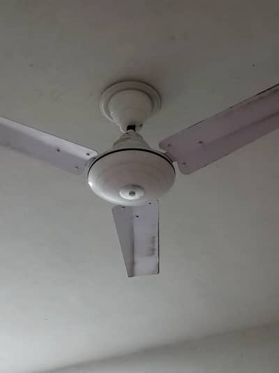 Ceiling fans in excellent condition