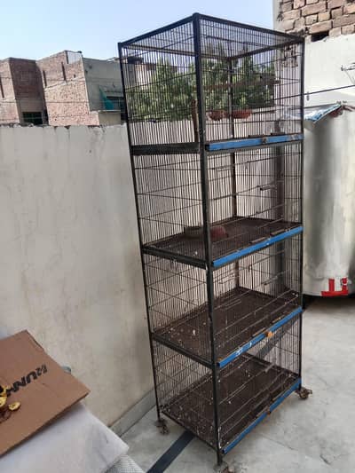 Cage 4 portion 2.5x1.5