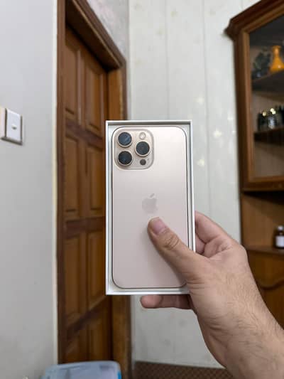 Apple iPhone 16 Pro Max