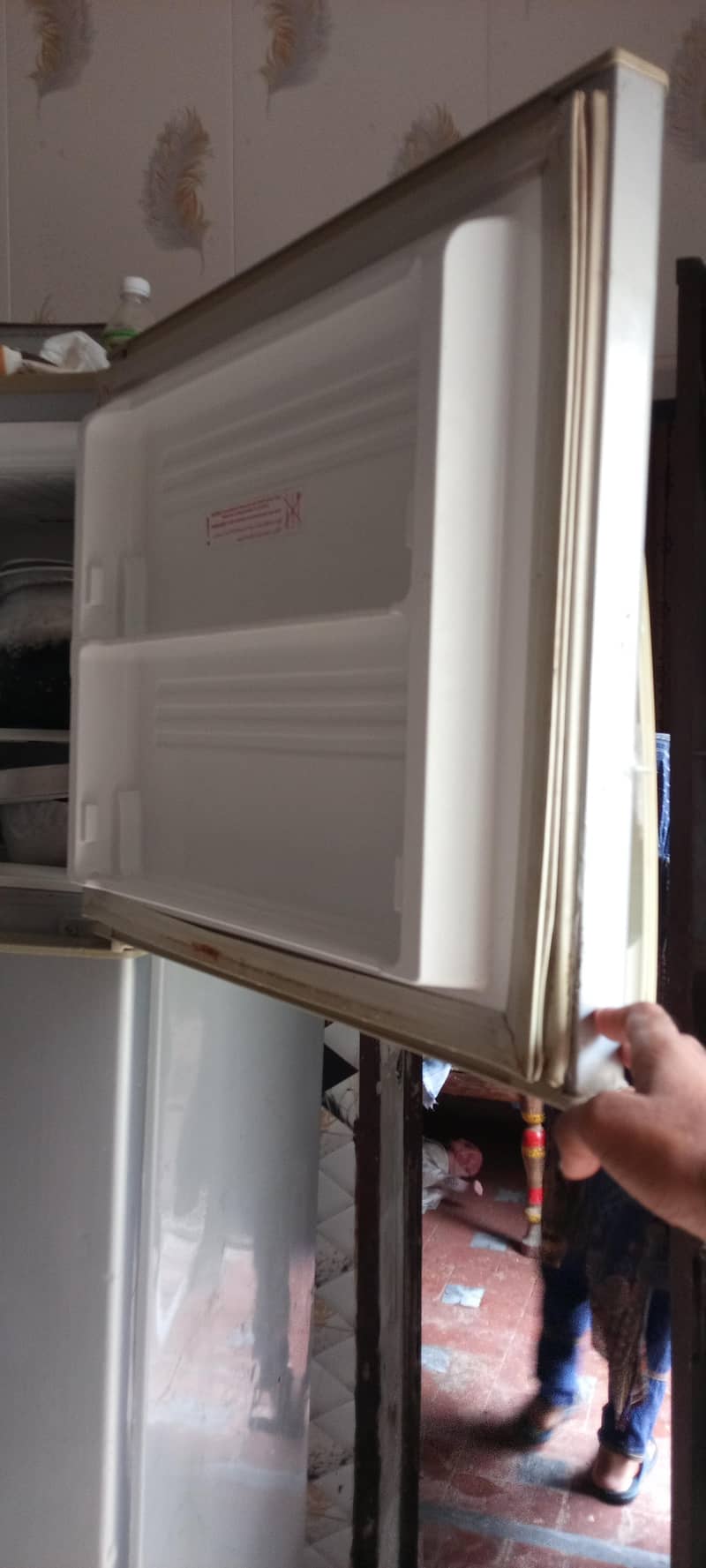 freezer 1