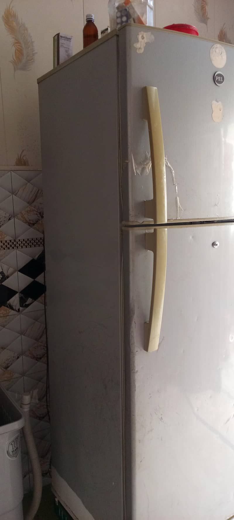 freezer 4