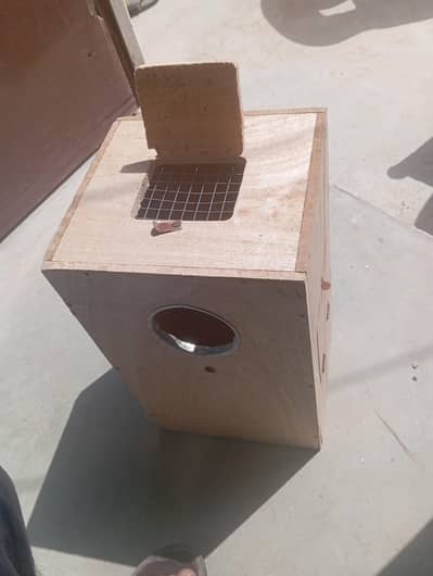 pahari cage for sale h 03294952195 is number per rabta kary