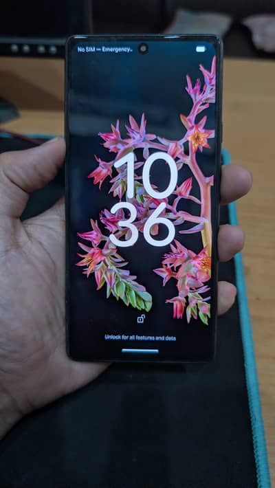 Google Pixel 6 OFFICIAL PTA APPROVED