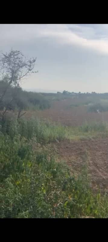 C-16 50/90 plot for sale cornner