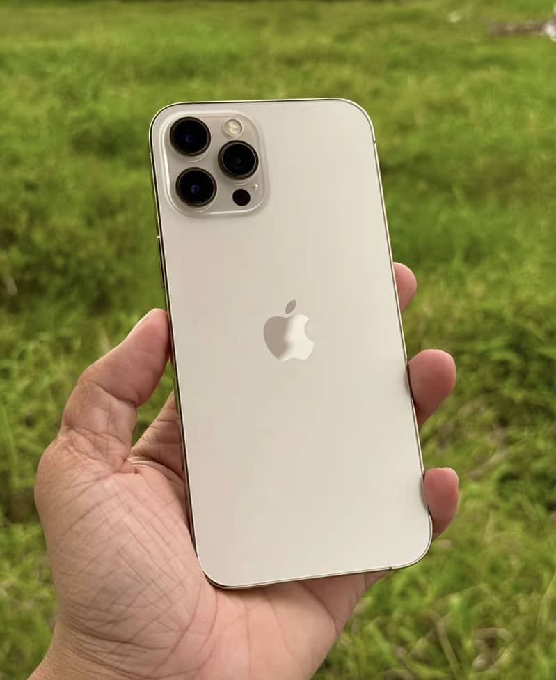 iphone 12 pro max 1