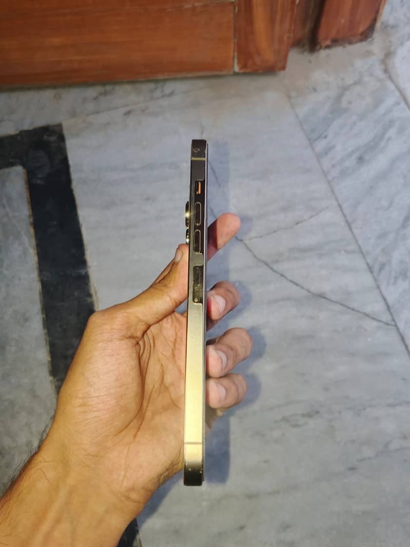 Iphone 13 pro max 2