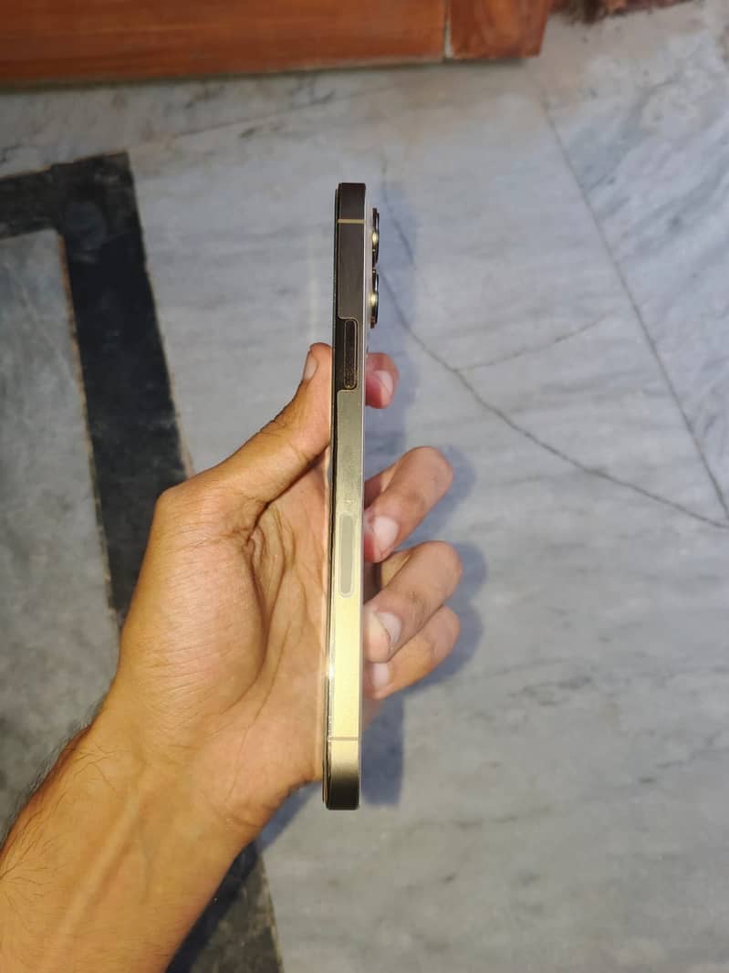 Iphone 13 pro max 3