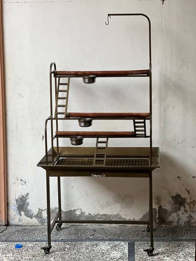 parrot stand andy cage for sale