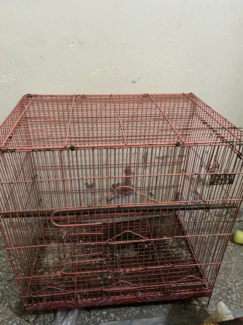 parrot stand andy cage for sale — photo 2