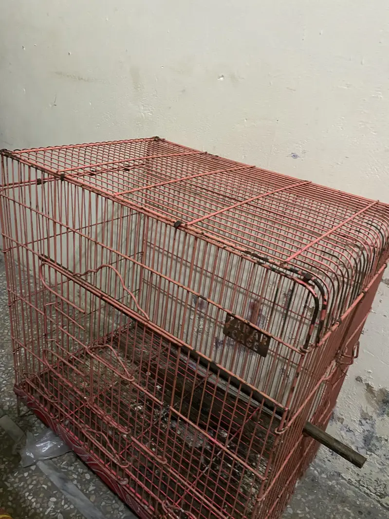 parrot stand andy cage for sale — photo 4
