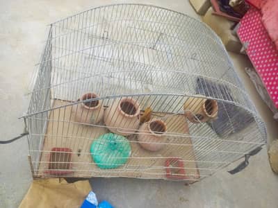 parrot cage for sell