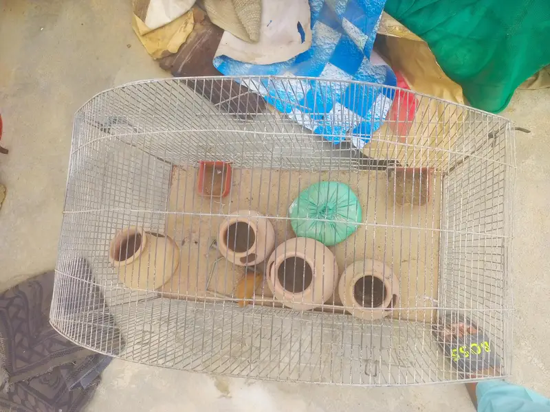 parrot cage for sell — photo 2