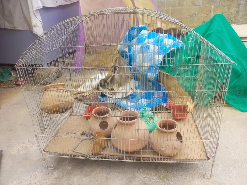 parrot cage for sell — photo 3