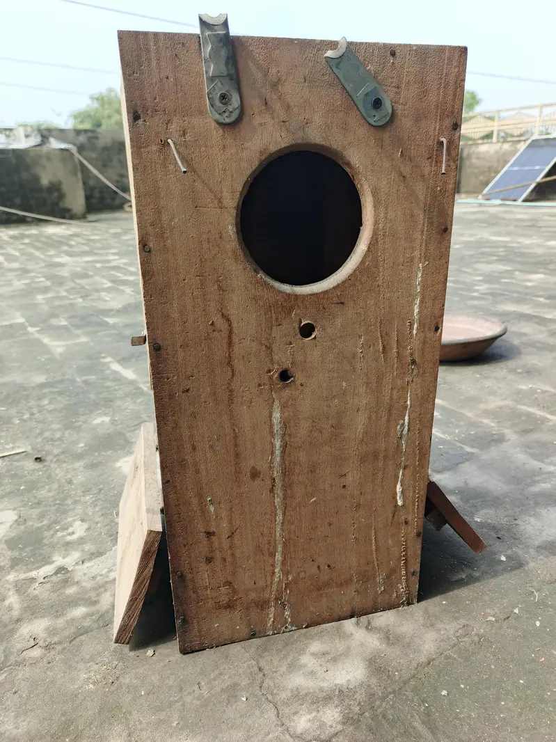 RAW  BREEDING BOX