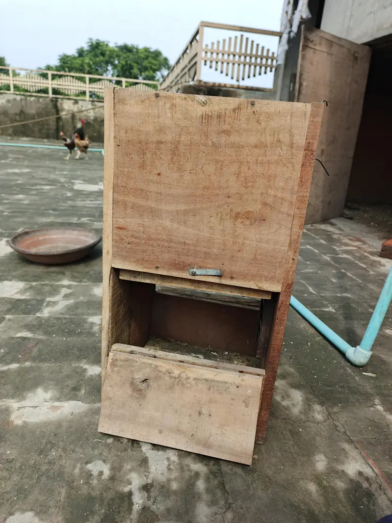 RAW  BREEDING BOX — photo 2
