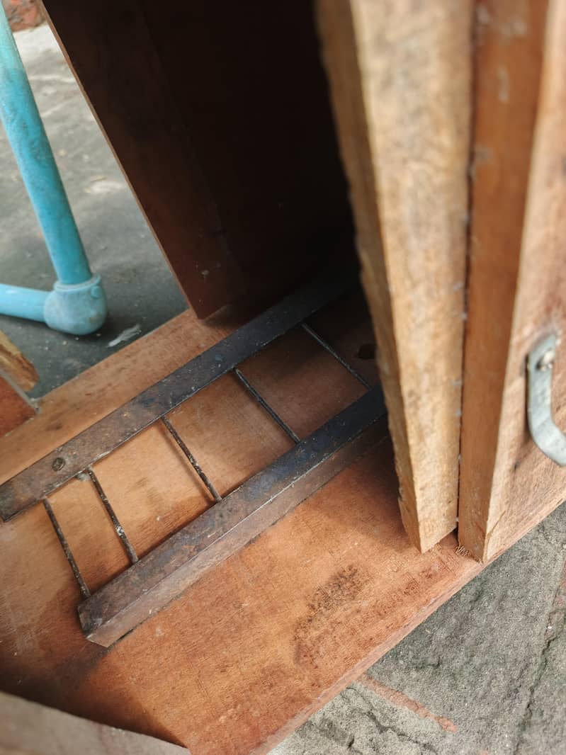 RAW  BREEDING BOX 5