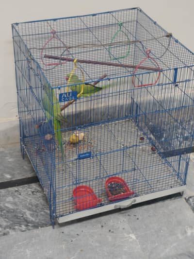 active pair with new cage