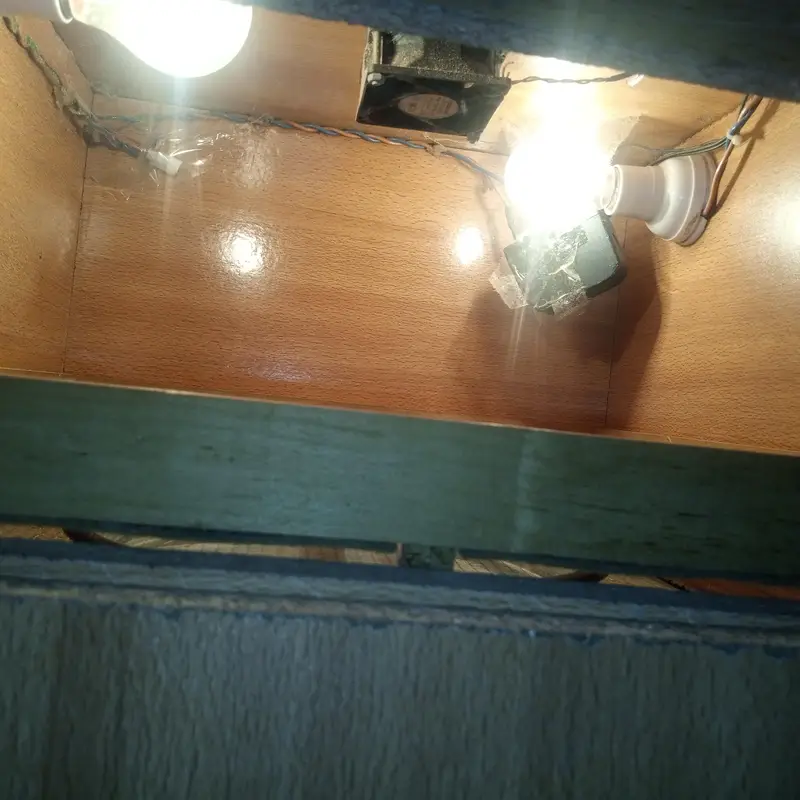 incubator machine 40 eggs wala — photo 2