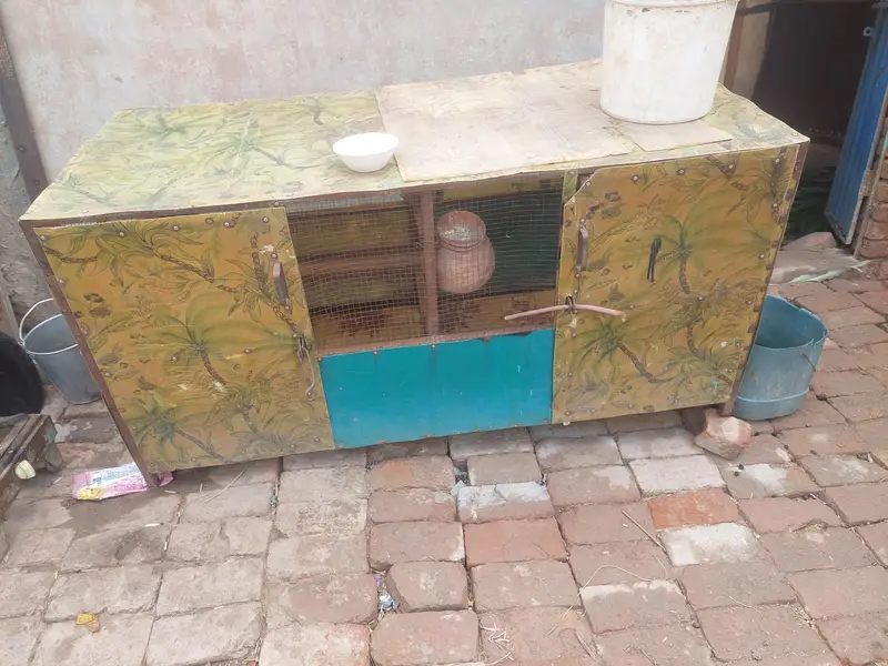 cage for sale