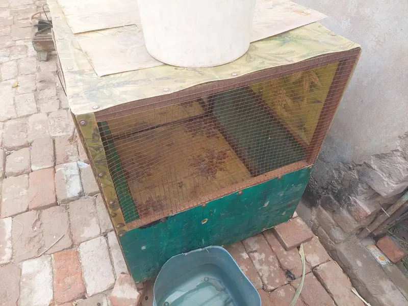 cage for sale — photo 2