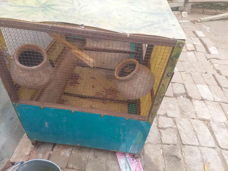 cage for sale — photo 3