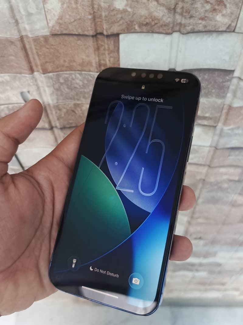 Apple iPhone 13 Pro Max 1