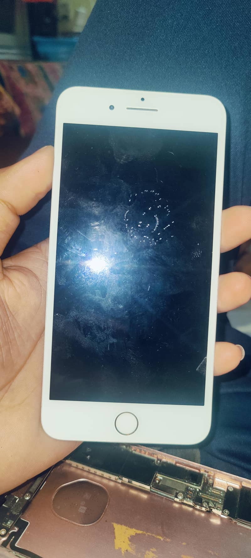 Apple iPhone 7 Plus 1