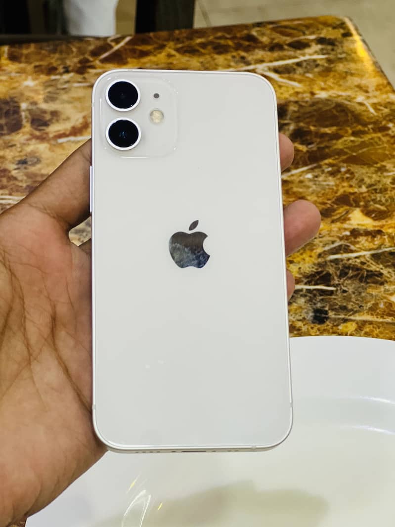 Apple iPhone 12 mini 1