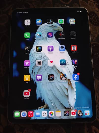 iPad pro m4 chip 11  inch   256GB  10by10