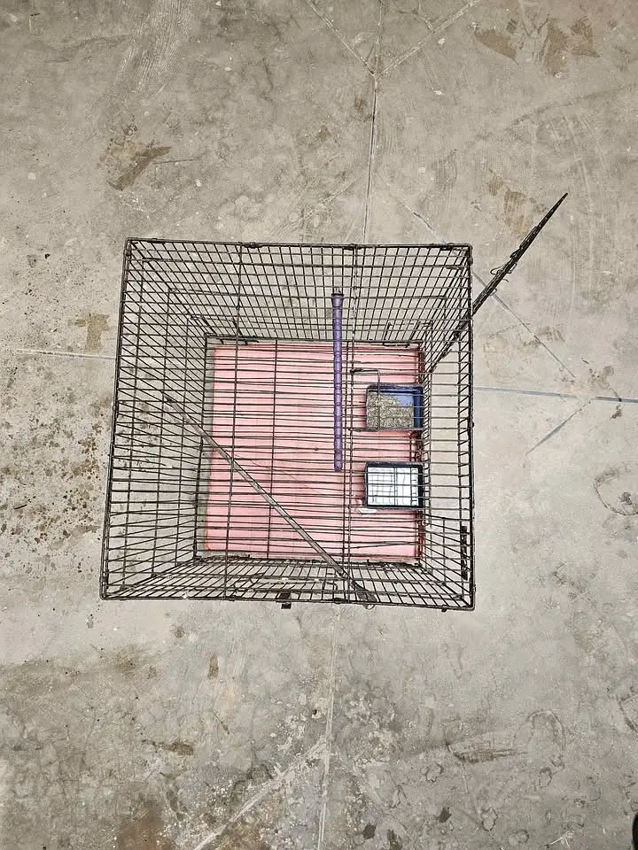 Large Iron Bird Cage with Tray & Strong Metal Cage — photo 4