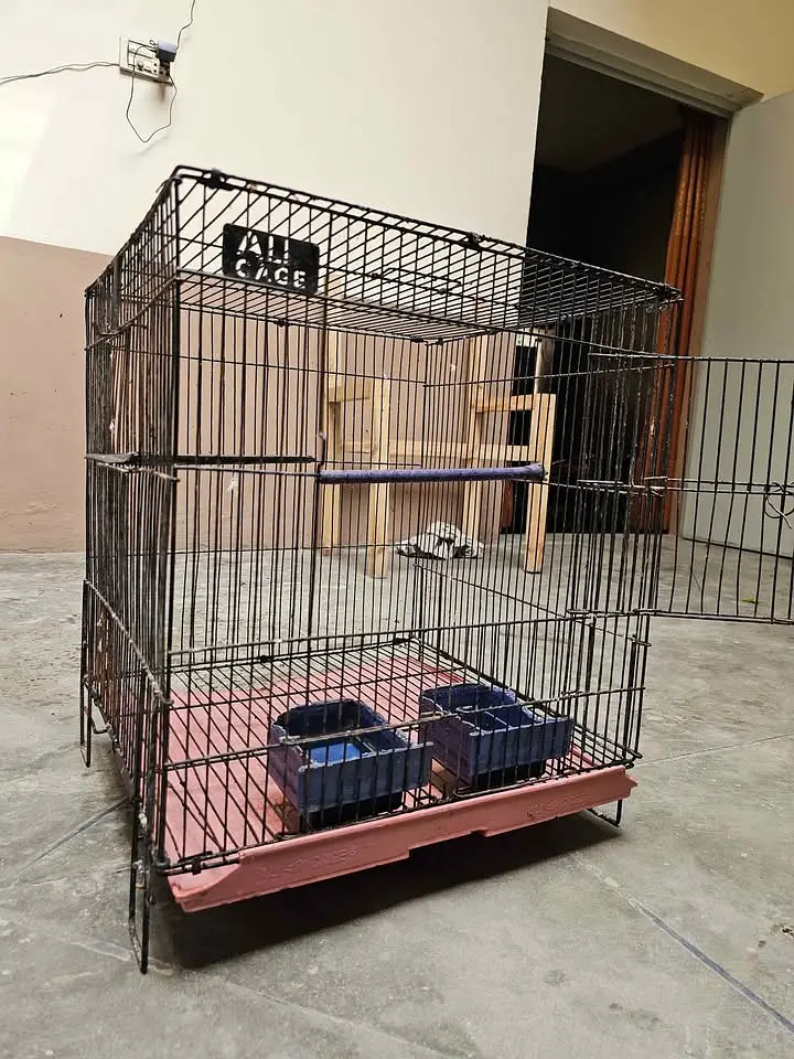 Large Iron Bird Cage with Tray & Strong Metal Cage — photo 2