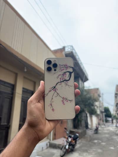 Apple iPhone 12 Pro Max