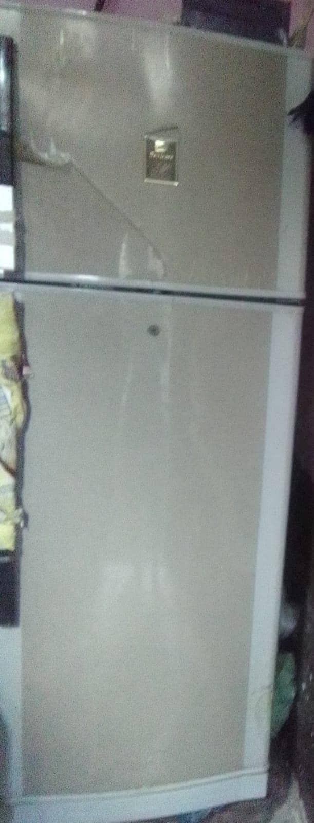 contect 03132545839 2
