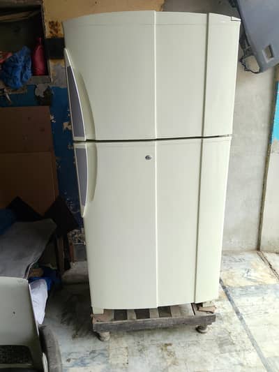 pel frige