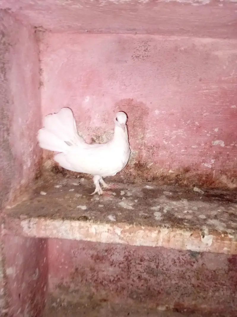 2 month ka bacha — photo 3