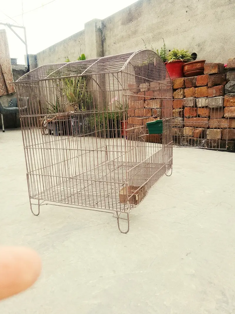 Cage | parrot cage | hen cage | cat cage | pet cage pingra pinjra — photo 2