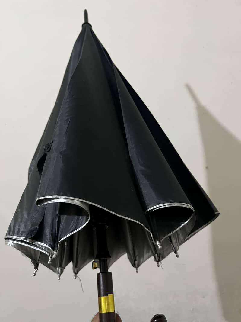 Umbrella 2