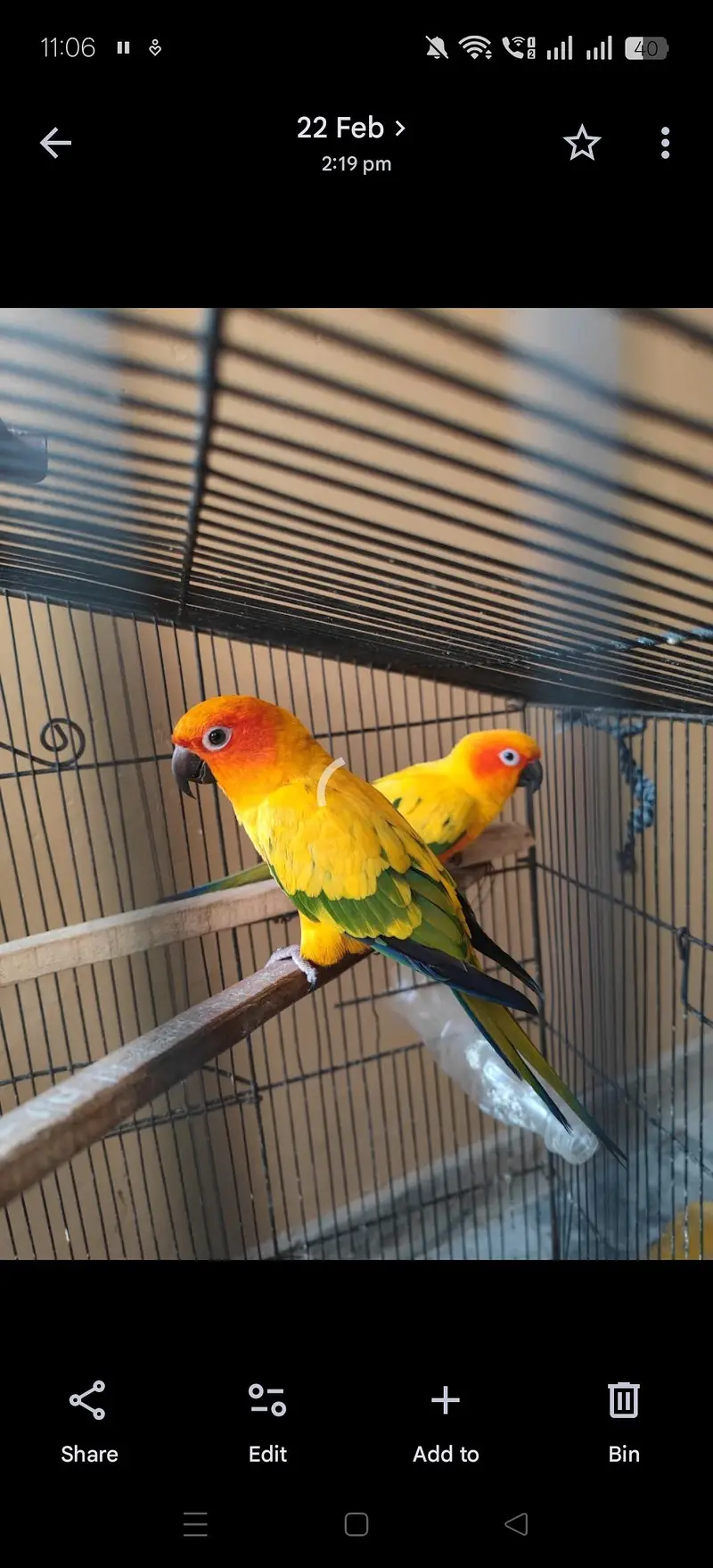 sale urgent  03229262750 — photo 2