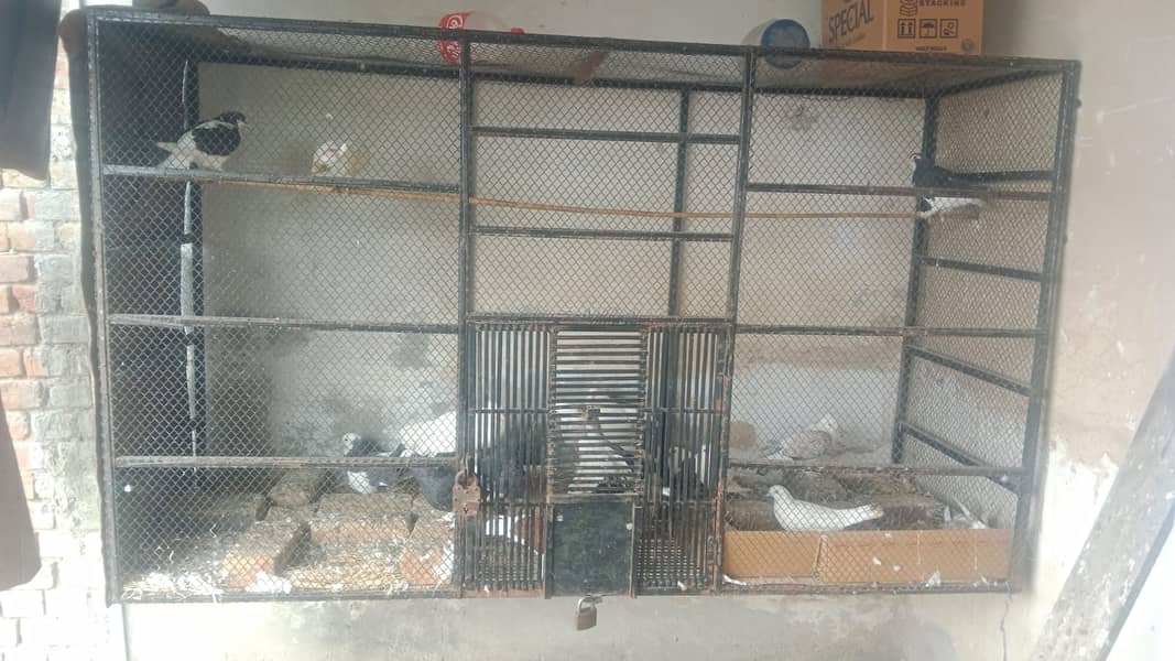Birds Cages | Parrots Cages | High Quality | Available 0